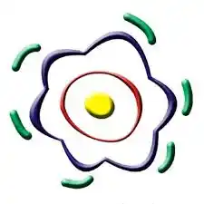 SD Bianglala logo