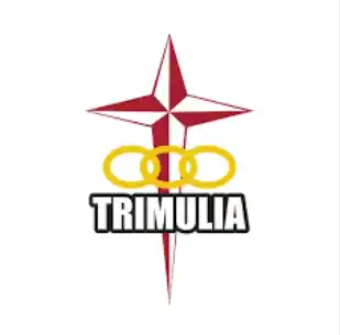 Sd kristen trimulia hits logo