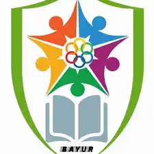 Sd negeri bayur logo